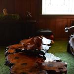 OTRA2014CN_0158 (August 27, 2014)